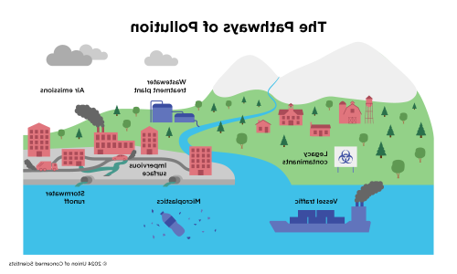 A graphic showing different ways pollution can affect a community, through water, air and soil. 